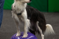 K9A4704