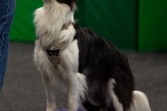 K9A4706