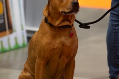 K9A4707