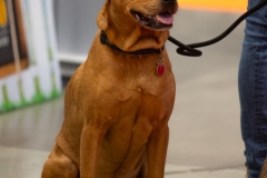 K9A4708