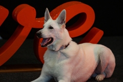 K9A4709
