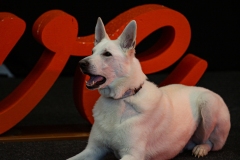 K9A4710
