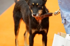 K9A4726