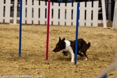 K9A4775