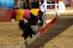 K9A4789