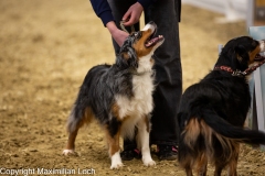 K9A4921