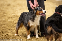 K9A4928