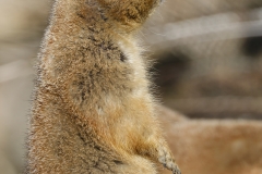 5_10761a